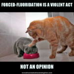 A cat using its paw to push the head of another cat into a food bowl. The cat with its head in the bowl has its eyes closed and does not look comfortable. Text: Forced-fluoridation is a violent act not an opinion