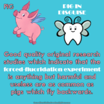 Pig with wings, labelled "pig". Tooth fairy, labelled "pig in disguise". Text: Good quality original research studies which indicate that the forced-fluoridation experiment is anything but harmful and useless are as common as pigs which fly backwards.