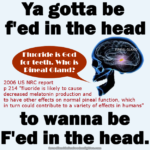 Human skull in profile, showing the location of the pineal gland in the brain. Speech bubble with text: Fluoride is God for teeth. Who is Pineal Gland? Text below speech bubble and skull: 2006 US NRC report p 214 "fluoride is likely to cause decreased melatonin production and to have other effects on normal pineal function, which in turn could contribute to a variety of effects in humans" – Text at top: Ya gotta be f'ed in the head – Text at bottom: to wanna be F'ed in the head.