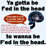Human skull in profile, showing the location of the pineal gland in the brain. Speech bubble with text: Fluoride is God for teeth. Who is Pineal Gland? Text below speech bubble and skull: 2006 US NRC report p 74 "The pineal gland, a calcifying organ that lies near the center of the brain but outside the blood-brain barrier, has been found to accumulate fluoride" – Text at top: Ya gotta be f'ed in the head – Text at bottom: to wanna be F'ed in the head.