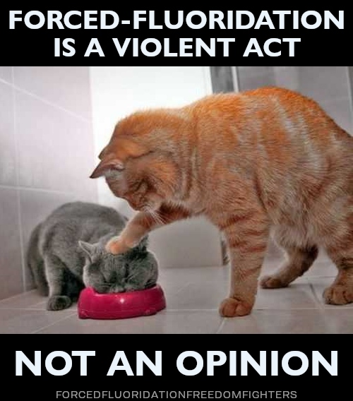 A cat using its paw to push the head of another cat into a food bowl. The cat with its head in the bowl has its eyes closed and does not look comfortable. Text: Forced-fluoridation is a violent act not an opinion